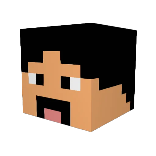 BRAYDENNNNN Minecraft avatar head, 3D render