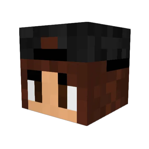 BRDJNKIEE Minecraft avatar head, 3D render
