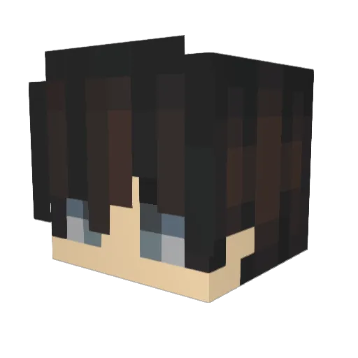 BRD_Shredder16 Minecraft avatar head, 3D render