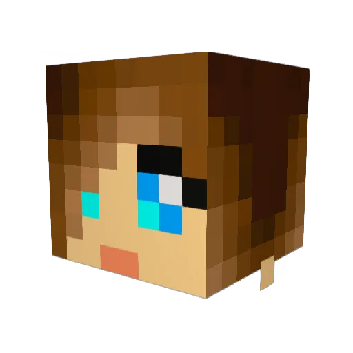 BREACH_IS_BAD Minecraft avatar head, 3D render