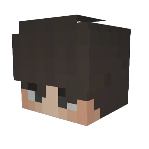 BRIAN54471 Minecraft avatar head, 3D render