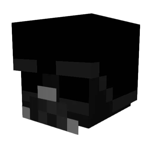 BRIAN9765 Minecraft avatar head, 3D render