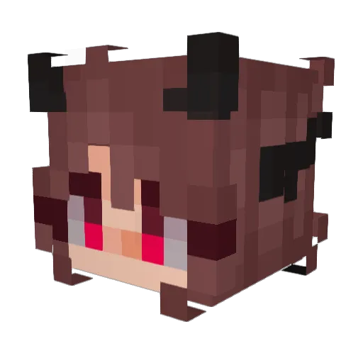 BRNZ1 Minecraft avatar head, 3D render