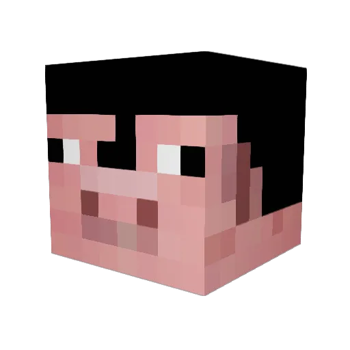 BRODYTHEPIG Minecraft avatar head, 3D render