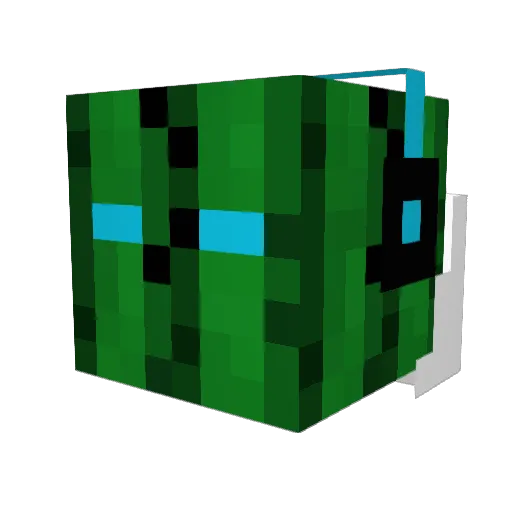 BRONX_B0MBER Minecraft avatar head, 3D render