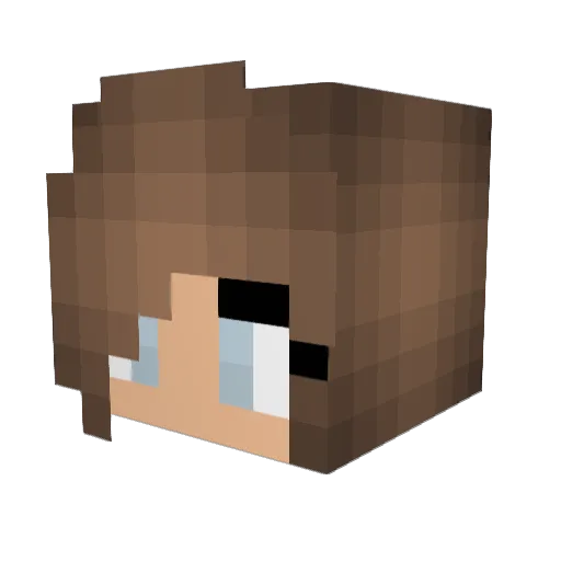 BROOKLYNN2002 Minecraft avatar head, 3D render