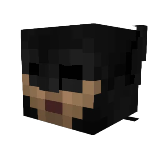 BRUCE_WAYNE53 Minecraft avatar head, 3D render