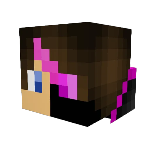 BRUHX6000 Minecraft avatar head, 3D render