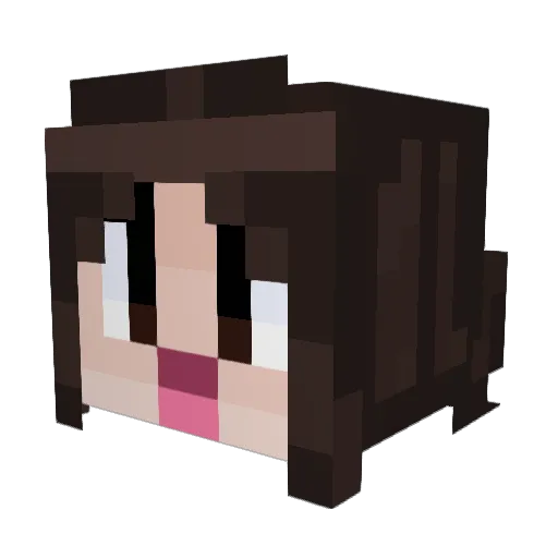 BRUH_MoM3nt Minecraft avatar head, 3D render