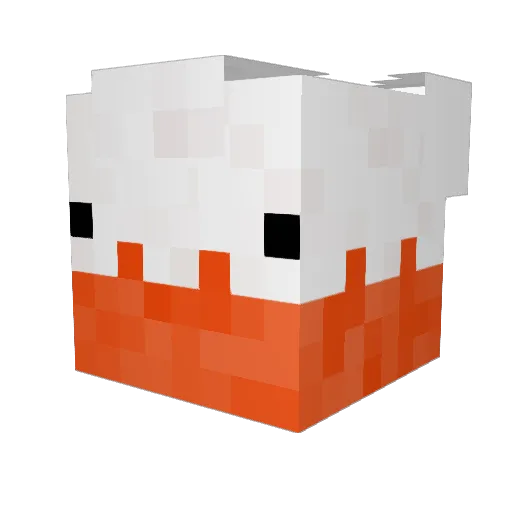 BRUH_WTH Minecraft avatar head, 3D render