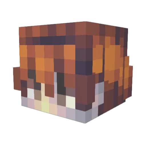 BRYLISM Minecraft avatar head, 3D render