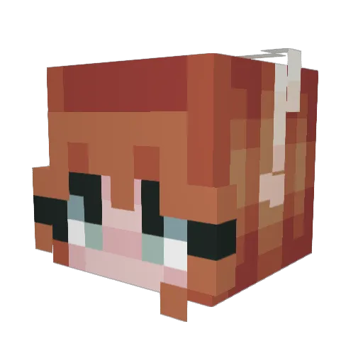 BRYNICOLE Minecraft avatar head, 3D render