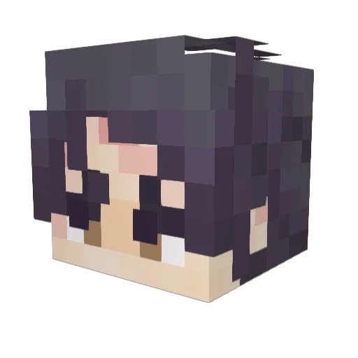 BRYYLii Minecraft avatar head, 3D render