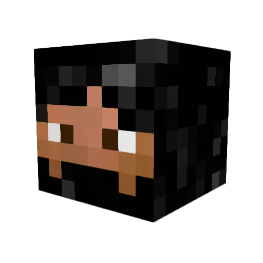 BRiM4799 Minecraft avatar head, 3D render