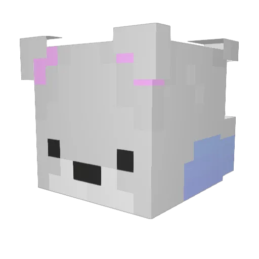 BRichterro Minecraft avatar head, 3D render