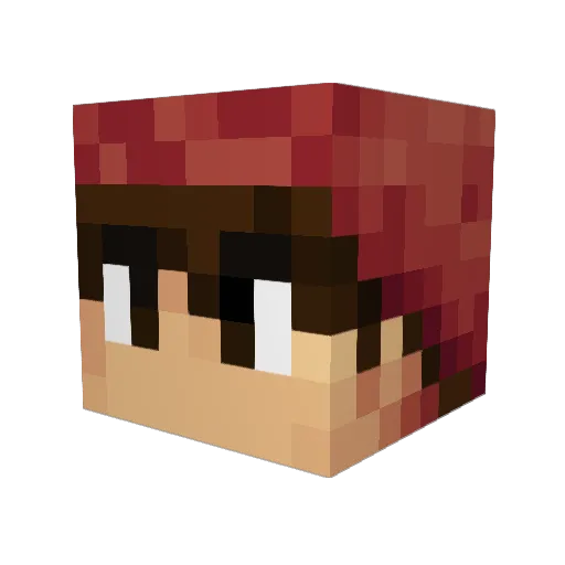 BRstoppy5 Minecraft avatar head, 3D render