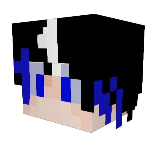 BSN_TW Minecraft avatar head, 3D render
