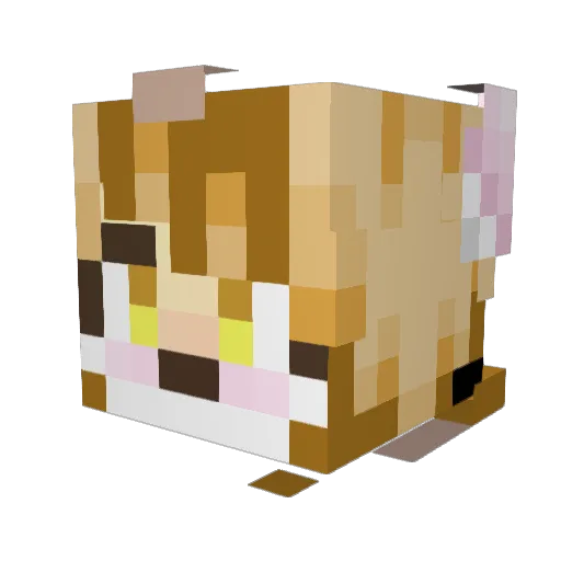 BSP595 Minecraft avatar head, 3D render