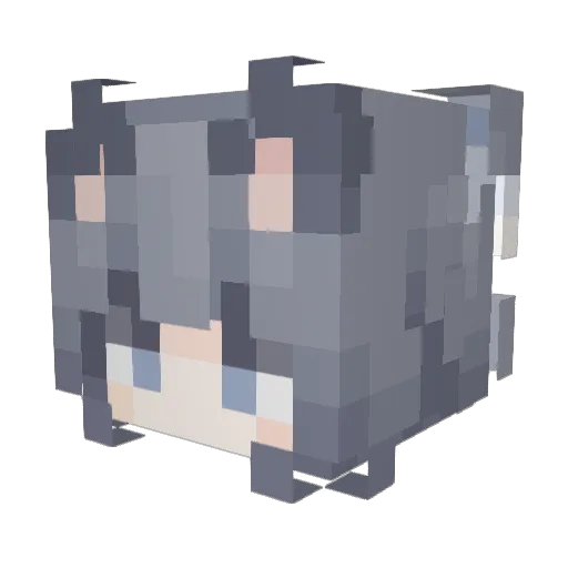 BSZL Minecraft avatar head, 3D render