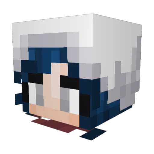 BShark5 Minecraft avatar head, 3D render