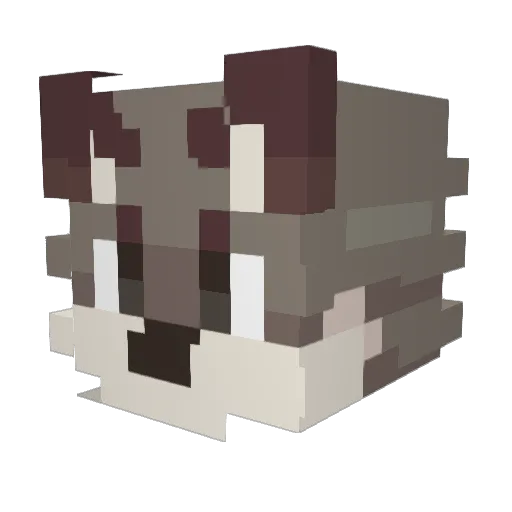 BShek Minecraft avatar head, 3D render
