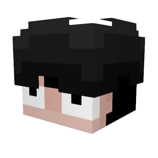 BSmasher565 Minecraft avatar head, 3D render