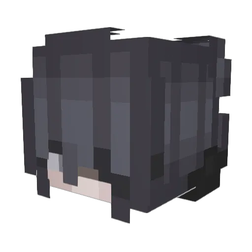 BSmt11 Minecraft avatar head, 3D render