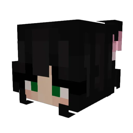 BSooooD Minecraft avatar head, 3D render