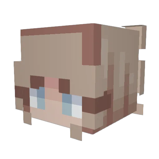 BStray Minecraft avatar head, 3D render