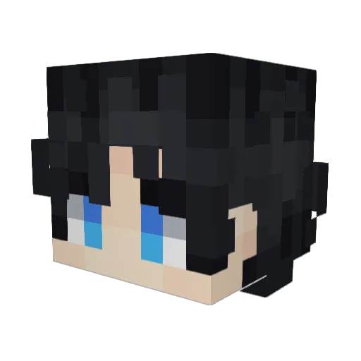 BTRFLI Minecraft avatar head, 3D render