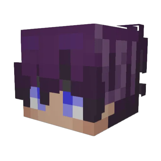BT_Jaxwon3127 Minecraft avatar head, 3D render