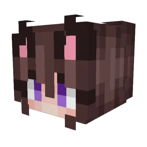 BTernaryTau Minecraft avatar head, 3D render