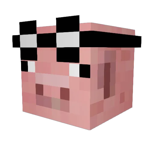 BThePoet Minecraft avatar head, 3D render