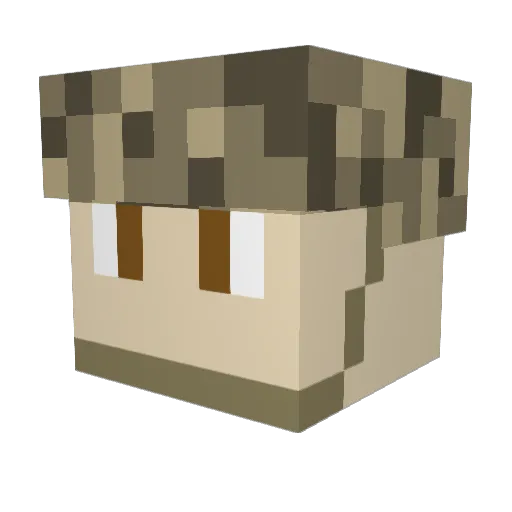 BTho02 Minecraft avatar head, 3D render