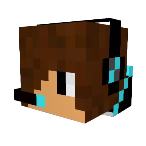 BUASSALLICRAFT Minecraft avatar head, 3D render