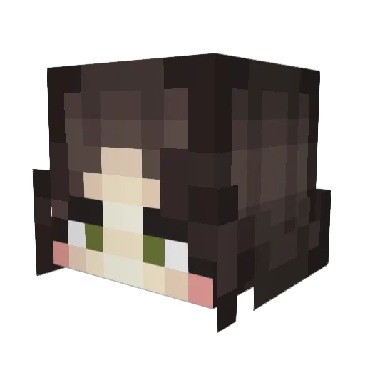 BUBBITE Minecraft avatar head, 3D render