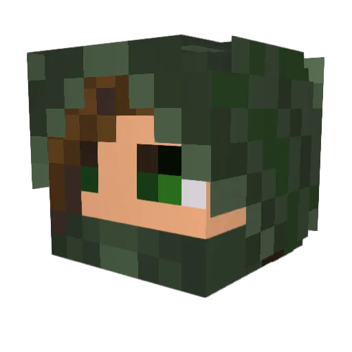 BUBBLEBOY1213 Minecraft avatar head, 3D render