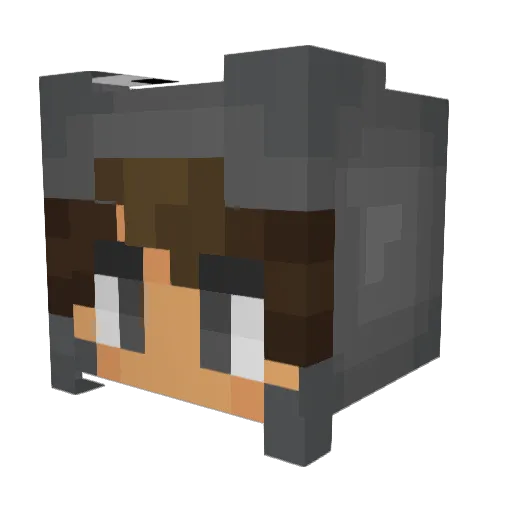 BUBBLESXO9887 Minecraft avatar head, 3D render