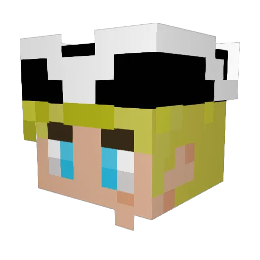 BUBZY28 Minecraft avatar head, 3D render