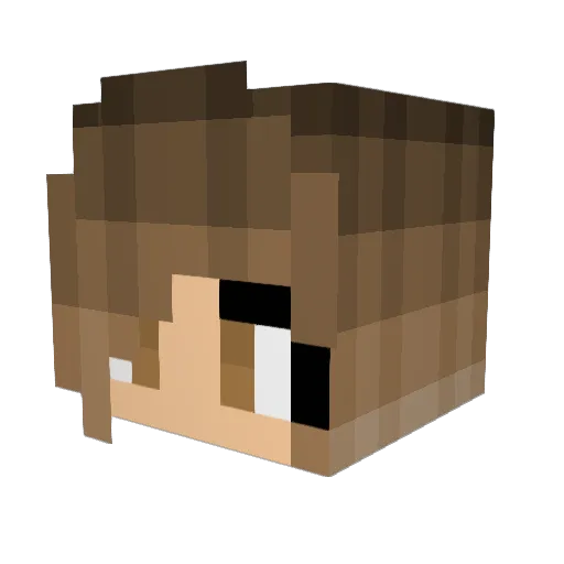 BUHNROP69 Minecraft avatar head, 3D render