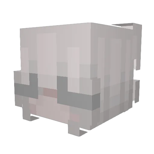 BULLET_BEETLE Minecraft avatar head, 3D render