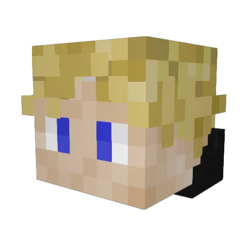 BULLS3Y3 Minecraft avatar head, 3D render
