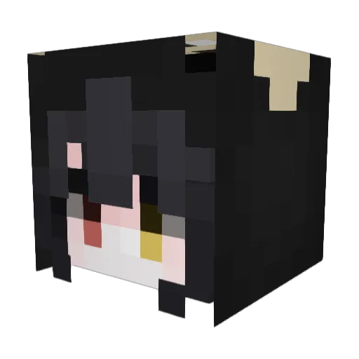 BUMFIDDLER37 Minecraft avatar head, 3D render