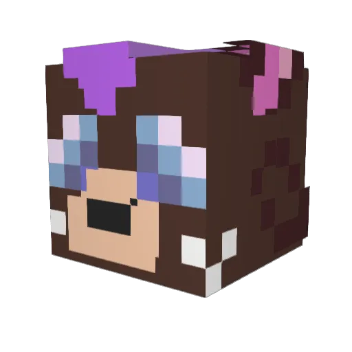 BUNNYLLENN Minecraft avatar head, 3D render