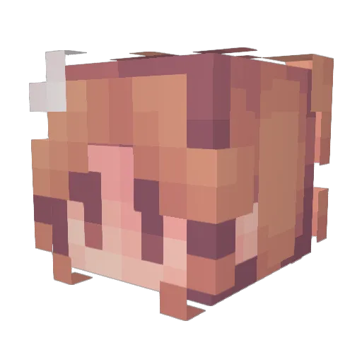 BUNNYby Minecraft avatar head, 3D render