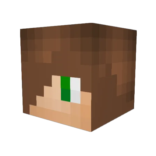 BURGERMAN223 Minecraft avatar head, 3D render