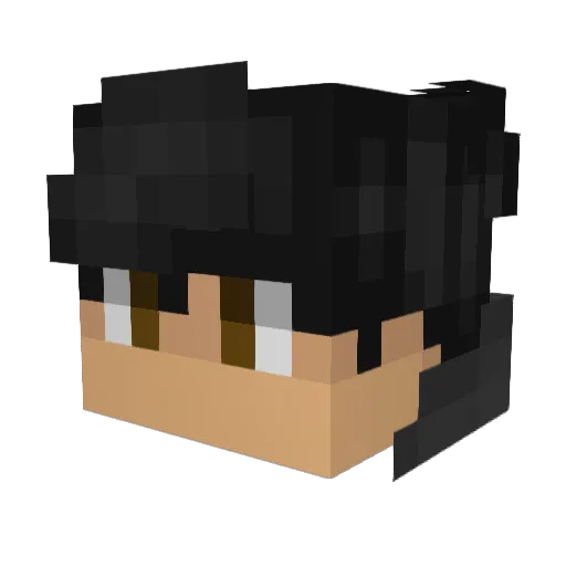 BURR3904 Minecraft avatar head, 3D render