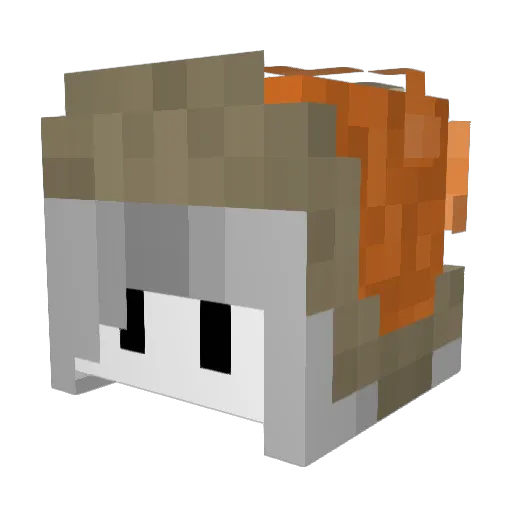 BURRDUM Minecraft avatar head, 3D render