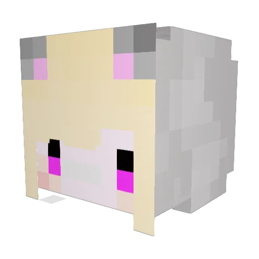 BURUKURASSHU666 Minecraft avatar head, 3D render