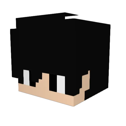 BUS_80 Minecraft avatar head, 3D render